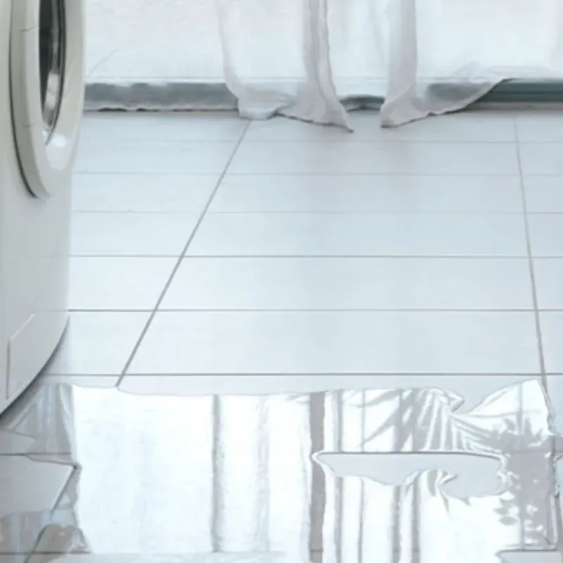 Appliance Leak Cleanup in Canton, MI