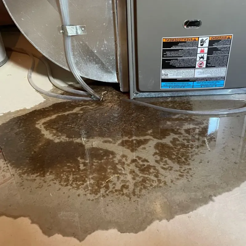 Pipe Burst and Leak Restoration in Canton, MI
